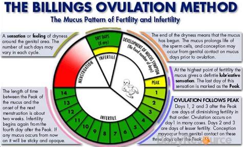 It's unlikely that you'll get pregnant just after your period, although it can happen. How Does That Sound To Get Pregnant On Your Ovulation Day | Johny Fit