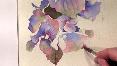 How To Paint Hydrangeas Watercolor Online Tutorial