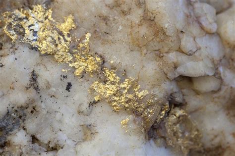 Native Gold In Quartz Vein Geology Pics