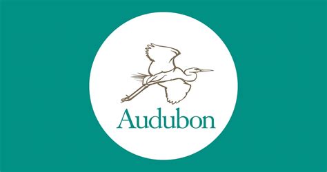 Rmi Welcomes National Audubon Society