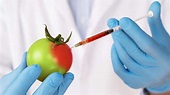 Everything you must know about Genetically Modified Organisms or GMOs