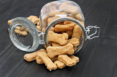 Cómo Hacer Galletas Caseras Para Perros