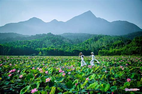 Top 3 Cảnh đẹp Việt Nam 4k Mới Nhất Năm 2022 Kiến Thức Cho Người Lao