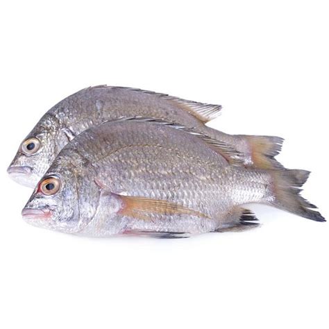 White Koffer Fish Small 1 Kg Online At Best Price Whole Fish Lulu Oman