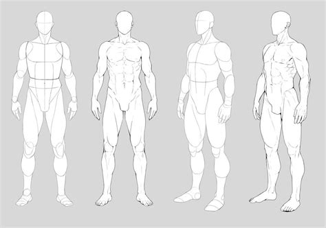 Male Anatomy By Precia On Deviantart Figure