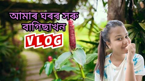 আমৰ ঘৰৰ সৰ বগছখন Assamese Garden Vlog YouTube