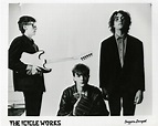 The Icicle Works | The Arkive