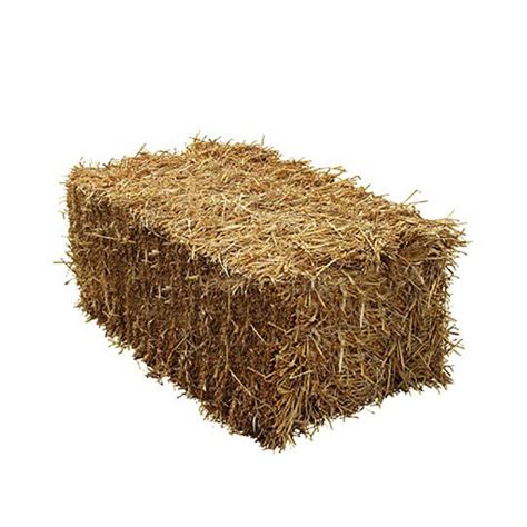 Straw Hay The Yard Llc