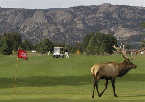 Tee times up to 7 days in advance: Best Driving Range | Estes Park Golf Course | sports-and ...