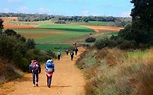 Camino de Santiago de Compostela - Ecoglobal Expeditions