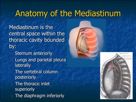 Ppt Surgical Disorders Of Mediastinum And Diaphragm Powerpoint