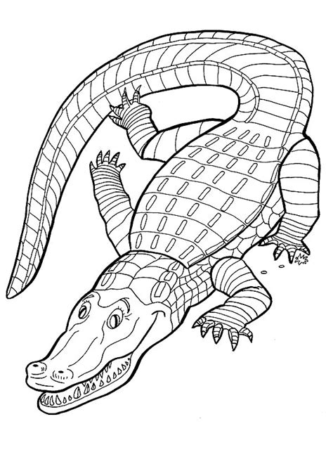 We have collected 38+ baby crocodile coloring page images of various designs for you to color. Crocodile Coloring Pages - Coloringpages1001.com