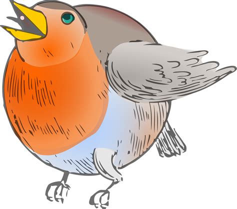 American Robin Png Transparent Images Pictures Photos Png Arts