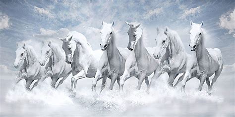 7 White Horse Wallpapers Wallpaper Cave