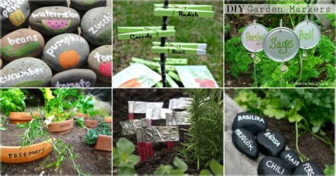 Can you overwater succulent plants? 25 DIY Garden Markers To Organize And Beautify Your Garden ...