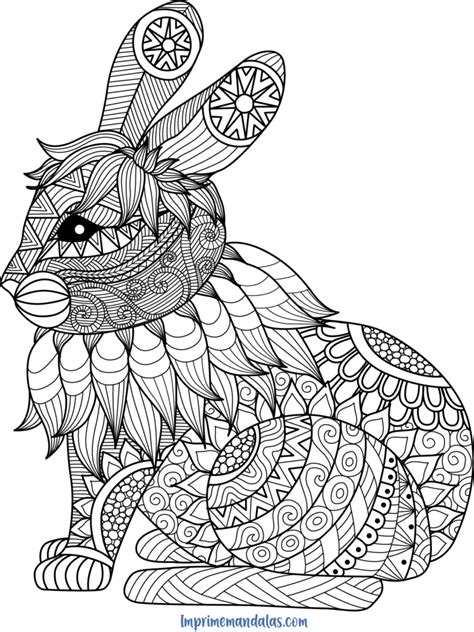 Adult Coloring Pages Cat Coloring Page Coloring Sheets For Kids
