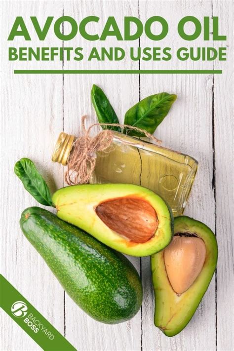 Avocado Oil Benefits And Uses Guide Avocado Oil Benefits Natural