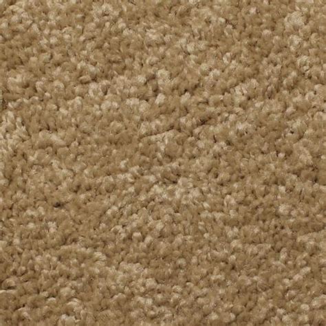 Stainmaster Essentials Marl Canyon Tan Textured Carpet Sample Interior