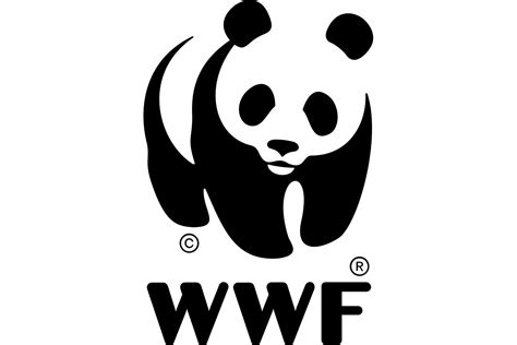 The Top 10 Wildlife Conservation Organizations