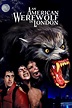 An American Werewolf in London (1981) | Klassische horrorfilme, Werwolf ...