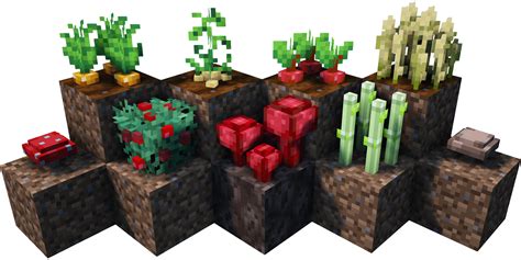 Beetroot in the computer game minecraft is a food and dye ingredient that can be obtained from a fully grown crop block. Crops 3D - Resource Packs - Minecraft - CurseForge