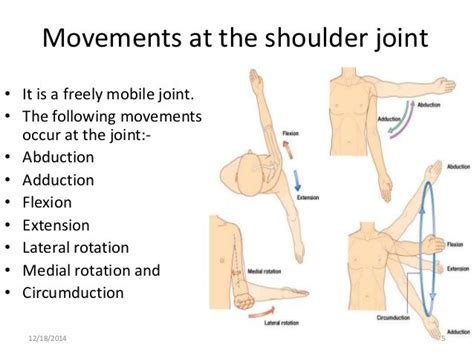 Case Based Learning Joints Of Upper Limb