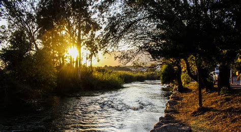 Sunset Behind Trees In The River Landscape Image Free