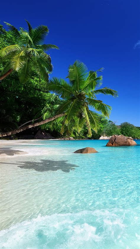 X Px P Free Download Tropical Beach Palms Paradise Sea Hd Phone Wallpaper Peakpx