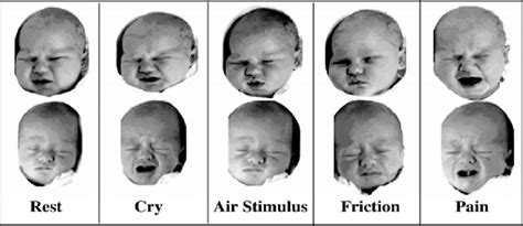 Examples Of The Five Facial Expressions In The Infant Cope Database