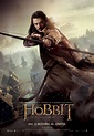 Poster 2 - Lo Hobbit - La desolazione di Smaug