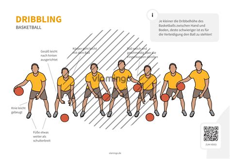 Dribbling Dribbeln Basketball Bewegungsbeschreibung And Technik