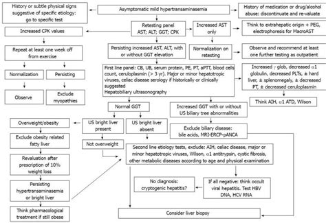 Transaminitis Is A Term That Means Elevated Levels Of Particular Liver