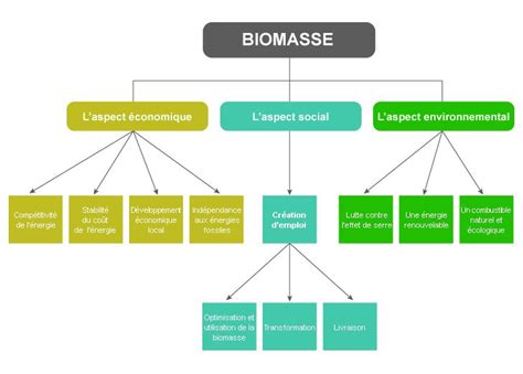 Les Avantages De La Biomasse Pour Sa Transformation En énergie
