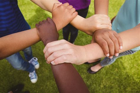 Children Holding Hands Together At Park Stock Photo Download Image