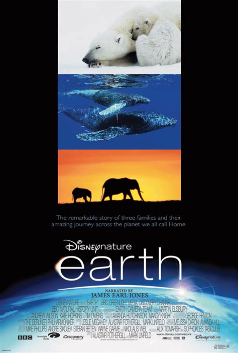 The Definitive Ranking Of Disneynature Films