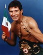 Julio Cesar Chavez Photo World Boxing Champion Mexico