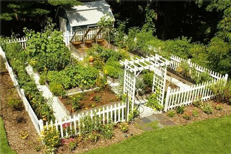 Attractive Vegetable Garden Fence Hawk Haven