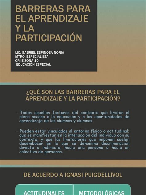 Barreras Para El Aprendizaje Y La Participación Pdf Invalidez