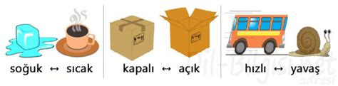 Zıt Anlamlı Kelimeler - Karşıt Anlamlı Sözcükler | Dil Bilgisi.net