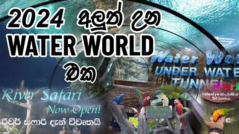 Water World Sri Lanka Kelaniya River Safari Boat Ride Fish