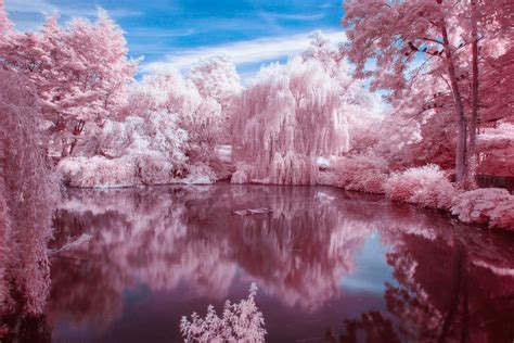Infrared Photography Tips For Beginners