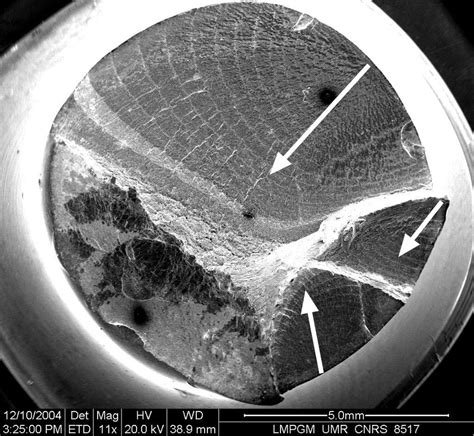 Faciès De Rupture Lbe Maintien Traction De 600s 300°c Download