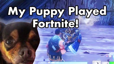 My Puppy Played Fortnite Gameplay Youtube