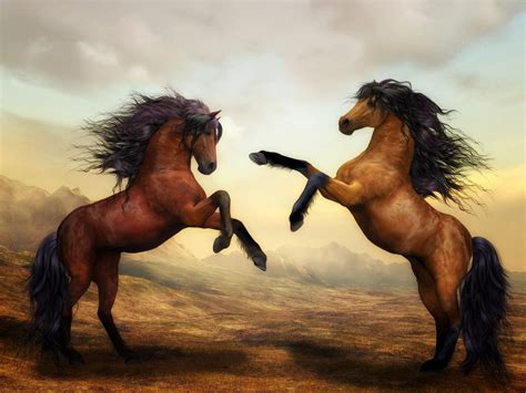 Wallpaper Id 290461 Horses Wild Horses Digital Art
