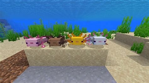 Minecraft Snapshot 20w51a Adds Axolotls