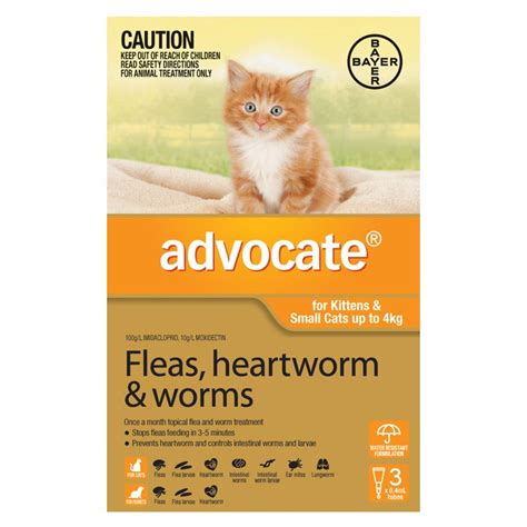 Advocate Kittens And Small Cats Up To 4kg Orange Dromana Pet Supplies