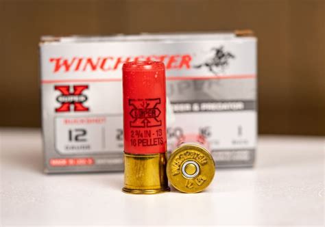 best new shotgun ammo of the shot show florida hot sex picture