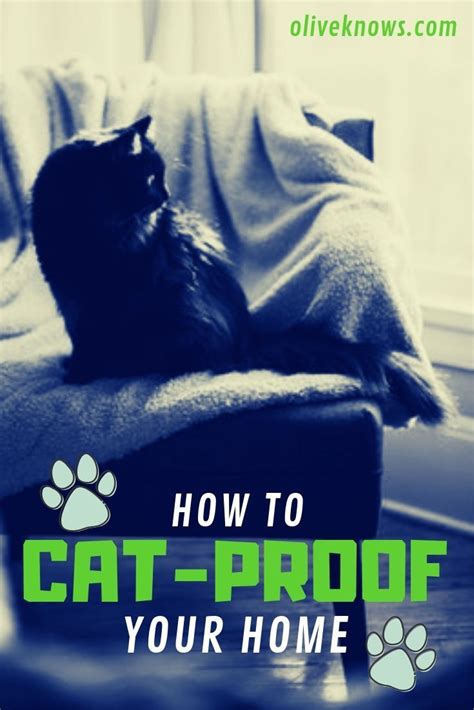 How To Cat Proof Your Home Oliveknows Cat Proof How To Cat Cats