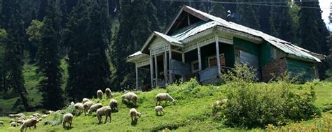 2,5 ★ · 2 herkese açık puanlama. Gulmarg : Kashmir's meadow of flowers : Explore Kashmir