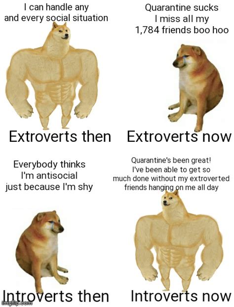 Image Tagged In Swole Doge Vs Cheems Flippedmemesbuff Doge Vs Cheems